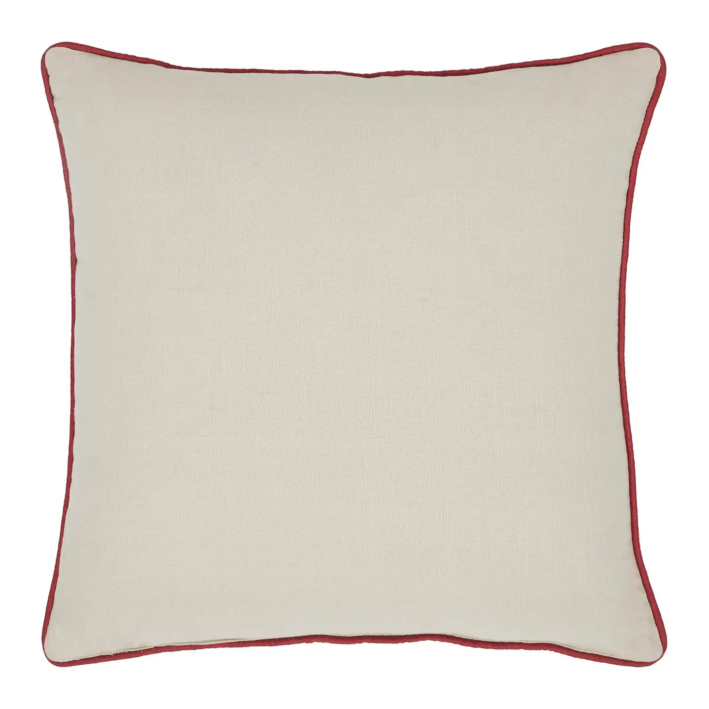Let's Get Poppin Pillow 18x18
