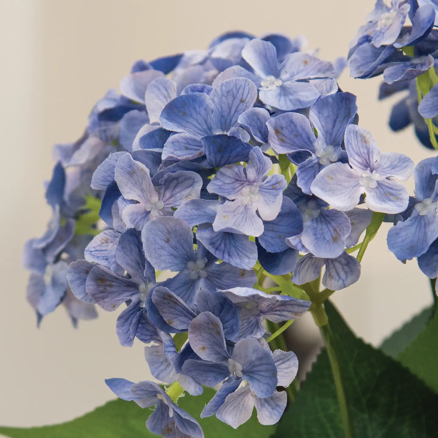 Blue Hydrangea Bush - 17"H