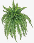 Artificial Boston Fern